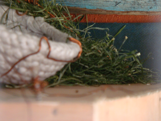 DSC02201.JPG