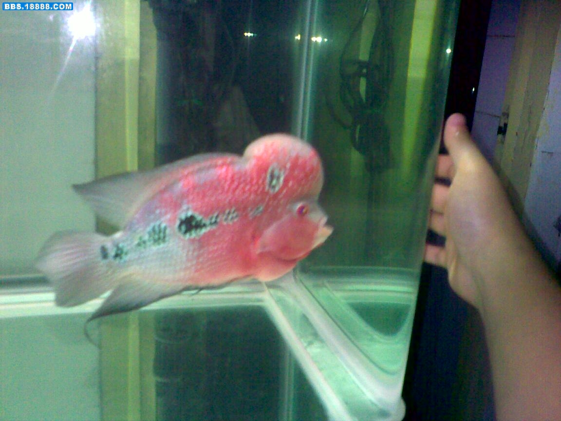 20110624263.jpg