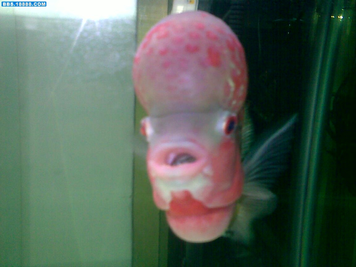 20110624250.jpg