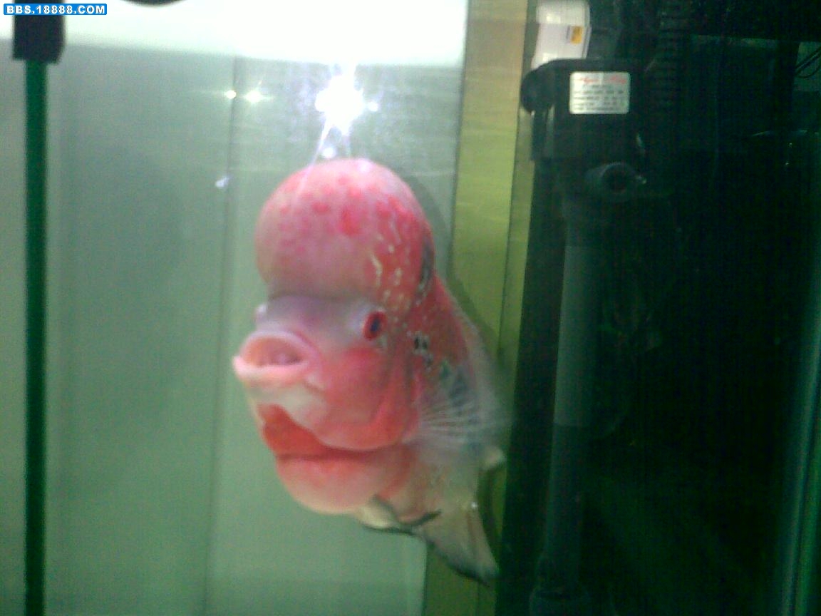 20110624255.jpg
