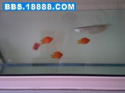 PC190009.JPG