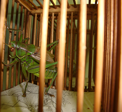DSC02205.JPG