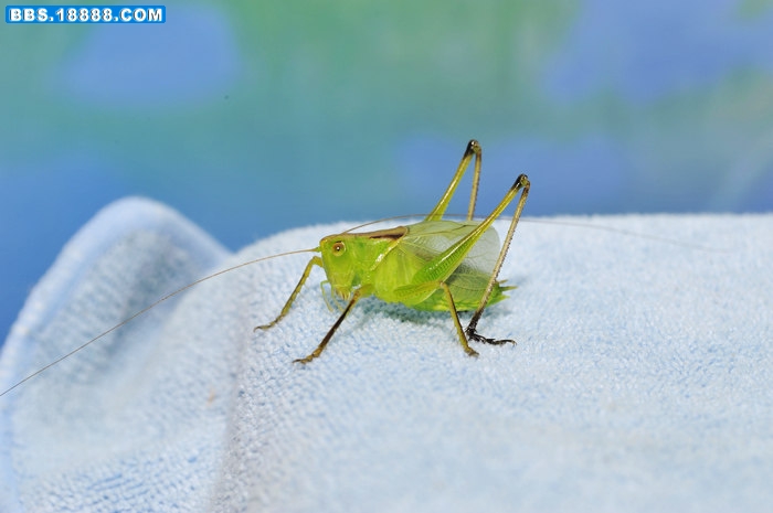nEO_IMG__DSC7897.jpg