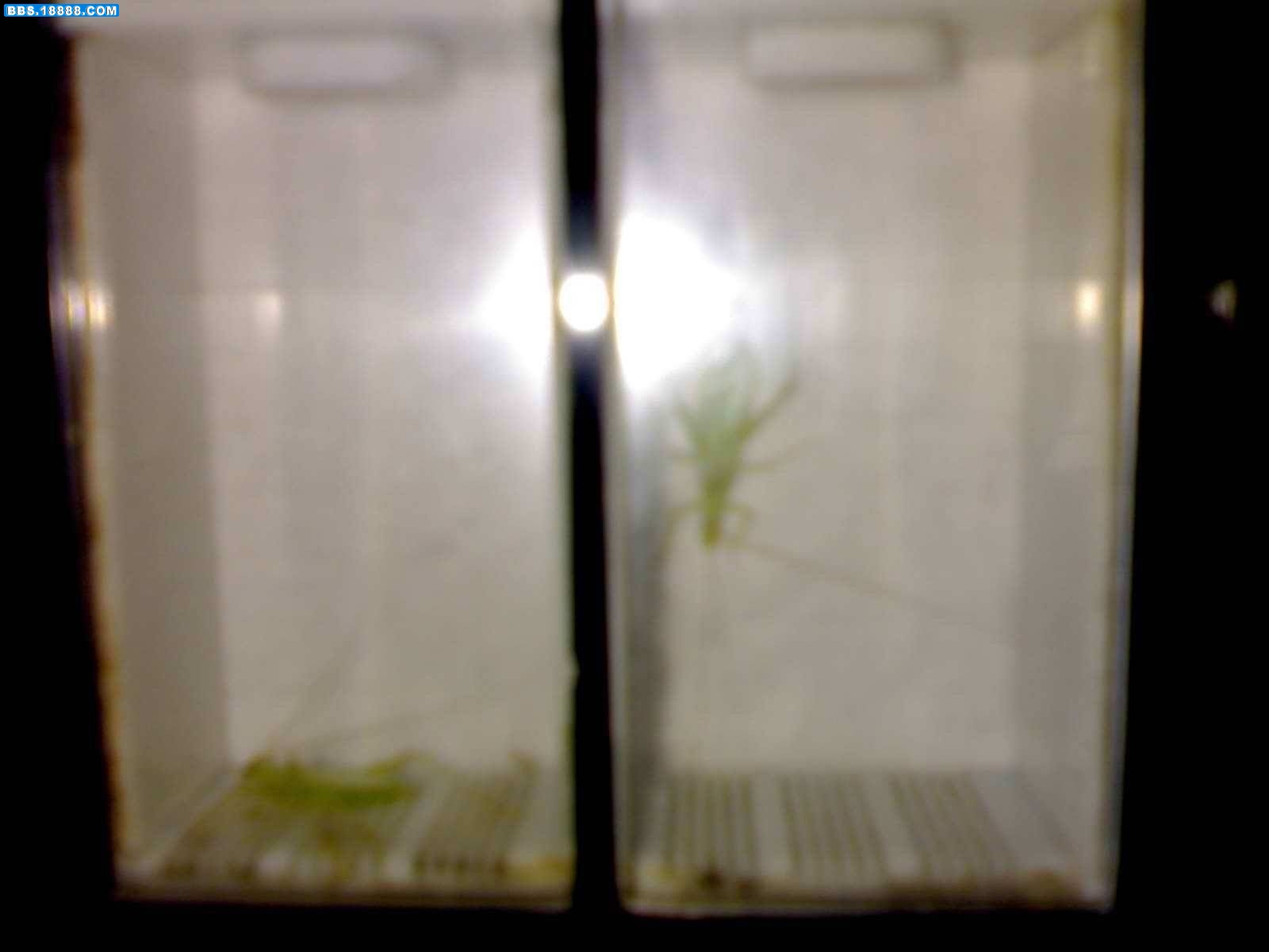 20110628163.jpg