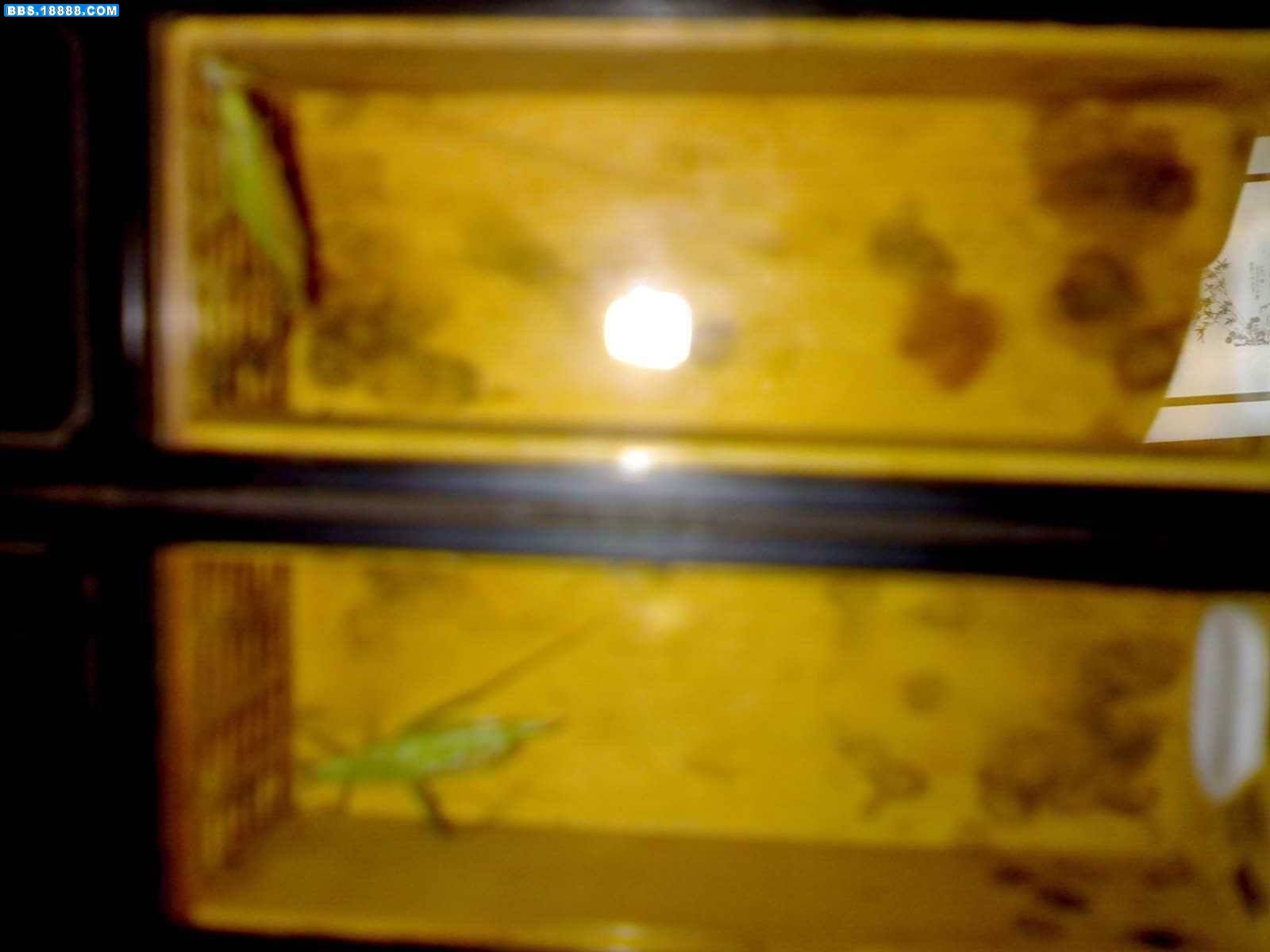 20110628164.jpg
