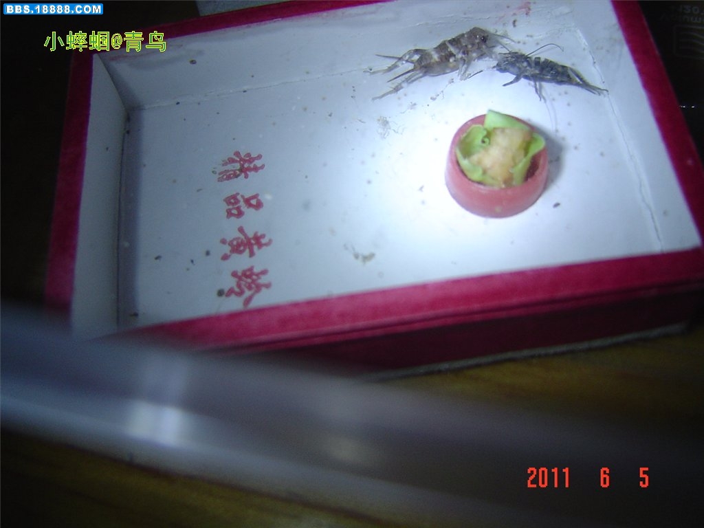 DSC03918.JPG