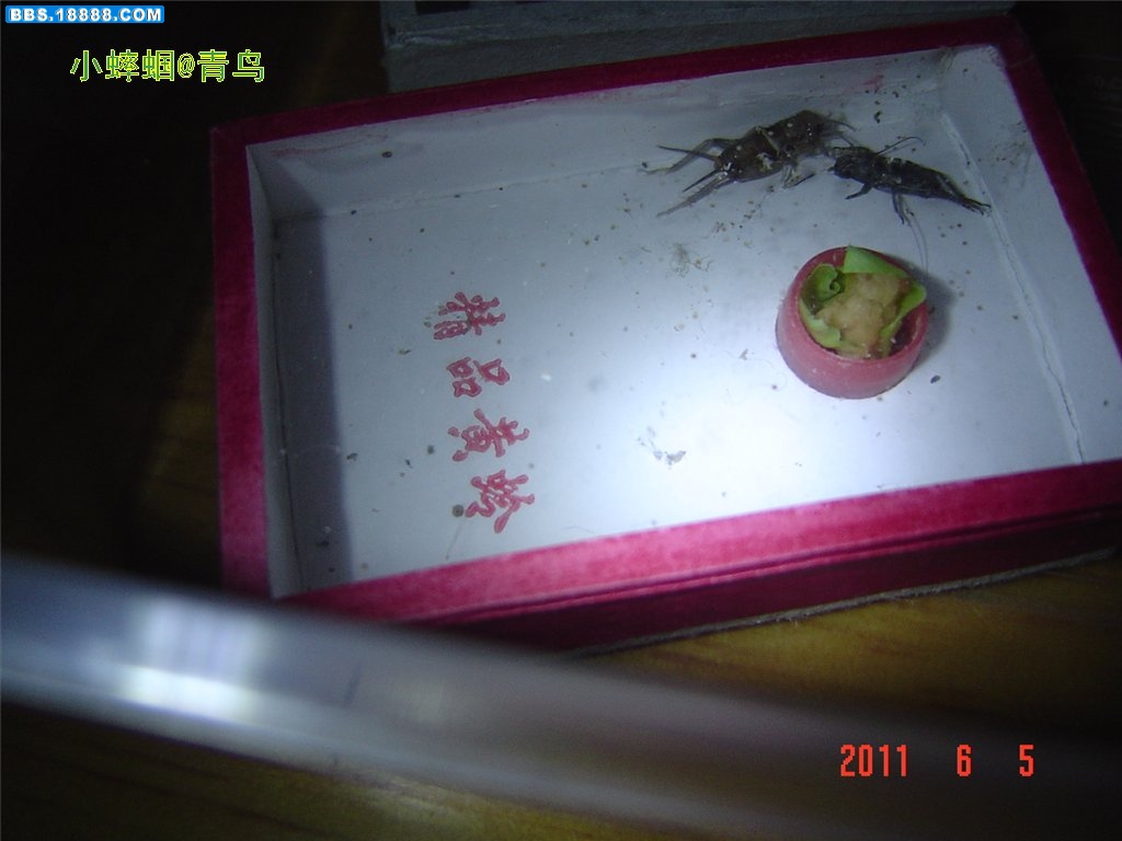 DSC03913.JPG