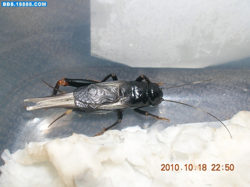 DSCN9824.jpg