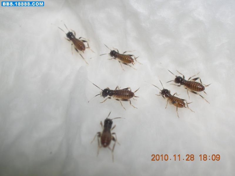 DSCN9877.jpg