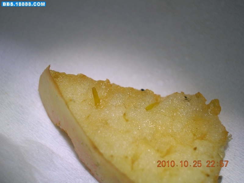 DSCN9831.jpg