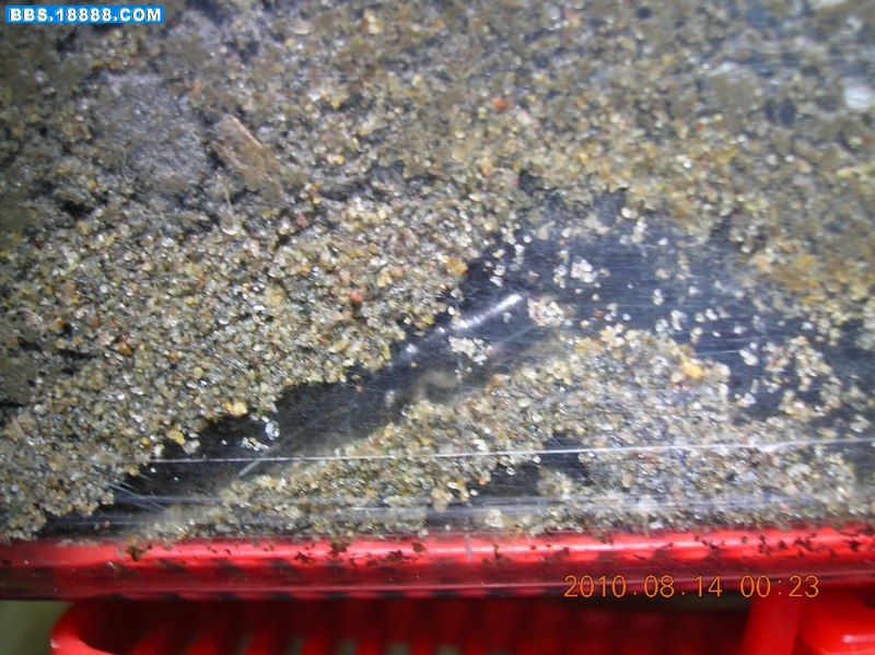 DSCN9254.jpg