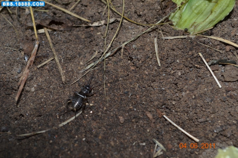 DSC_0003.jpg