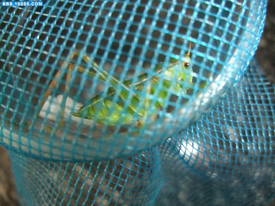 DSCF0881.JPG