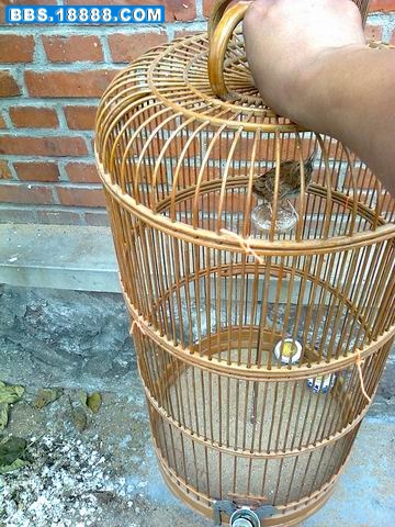 调整大小 照片0101.jpg