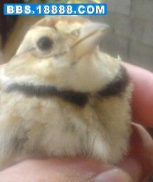 QQ截图20110621160843.jpg