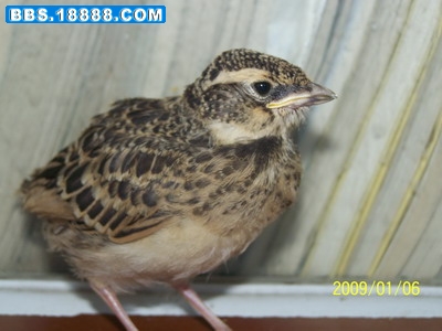 100_3125_缩小大小.JPG