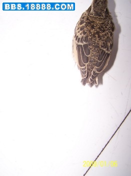 100_3120_缩小大小.JPG