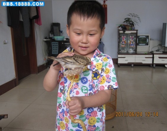 翔.jpg