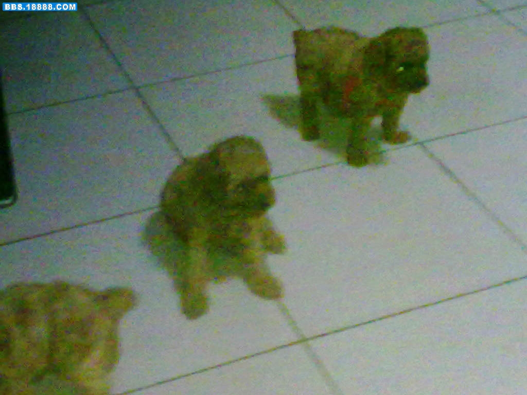 201106241067.jpg