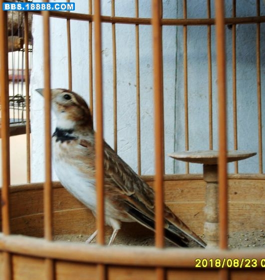S5000048_nEO_IMG.jpg