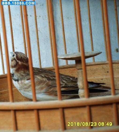 S5000056_nEO_IMG.jpg