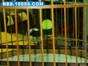 20110606002.jpg