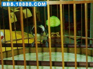20110606003.jpg