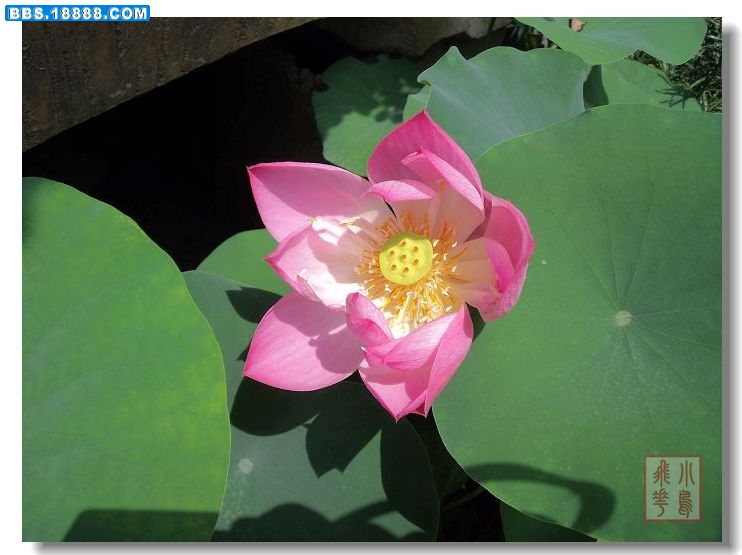 DSCF71713.jpg