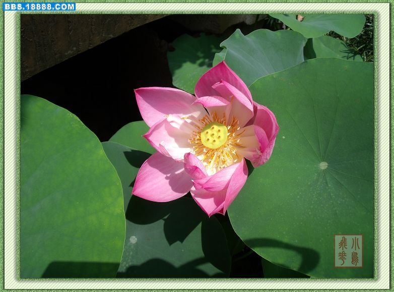 DSCF7171.jpg