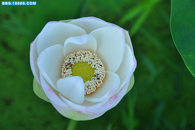 2011.7.1 093.jpg