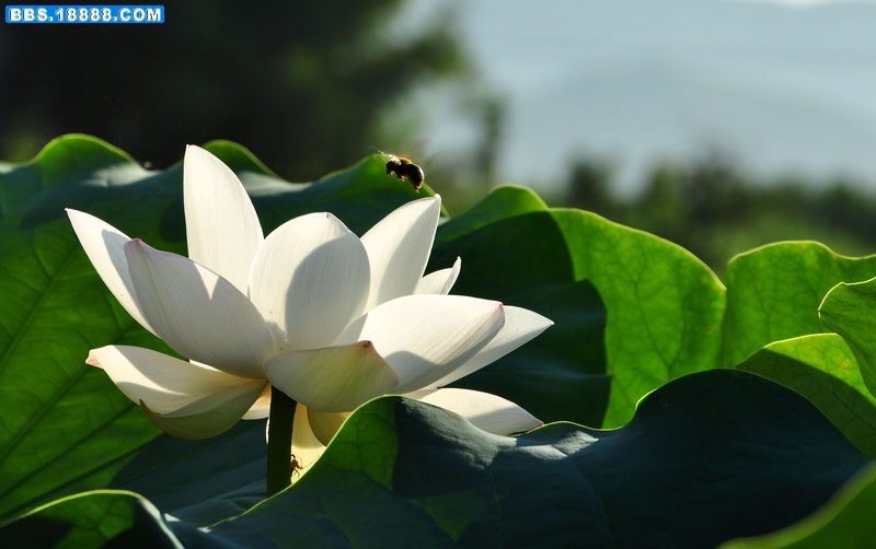 2011.7.1 055.jpg