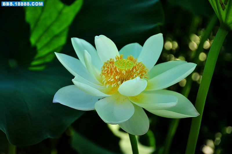 2011.7.1 065.jpg