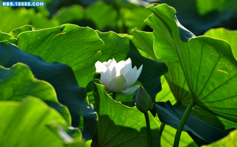 2011.7.1 063.jpg