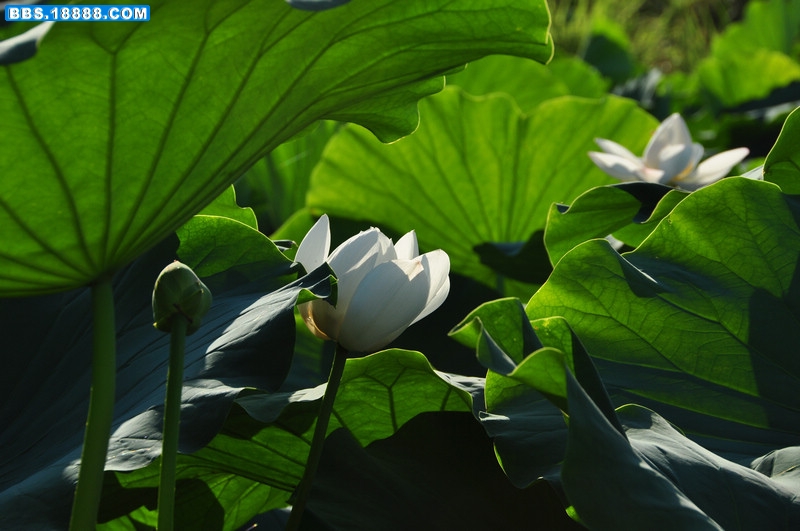 2011.7.1 075.jpg