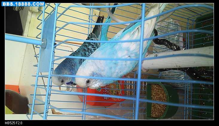 nEO_IMG_2011-07-12_17-23-54_8.jpg