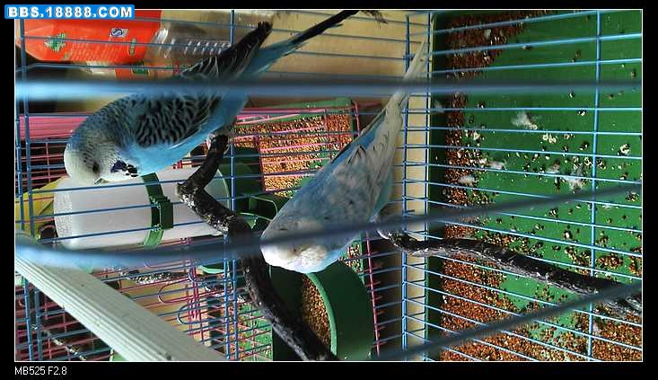 nEO_IMG_2011-07-12_15-57-38_788.jpg