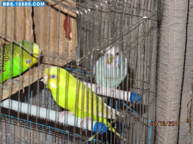 IMG_2363.JPG