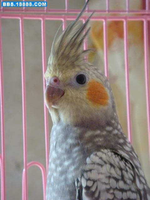 DSC07787.JPG
