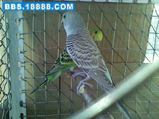 IMG0725170701.jpg