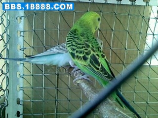 IMG0725170702.jpg