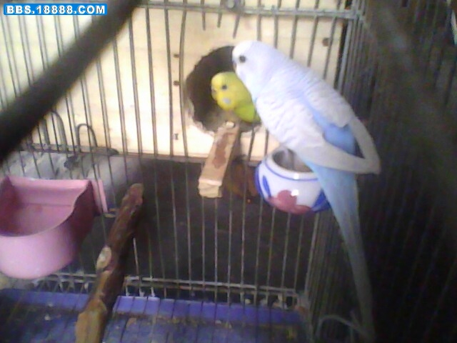 IMG0584A.jpg