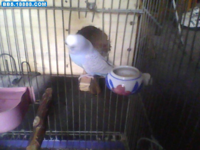 IMG0585A.jpg