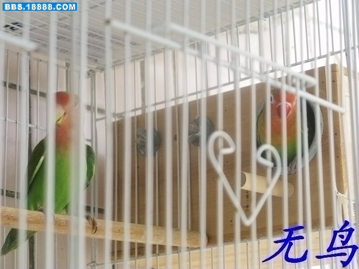 照片 006.jpg
