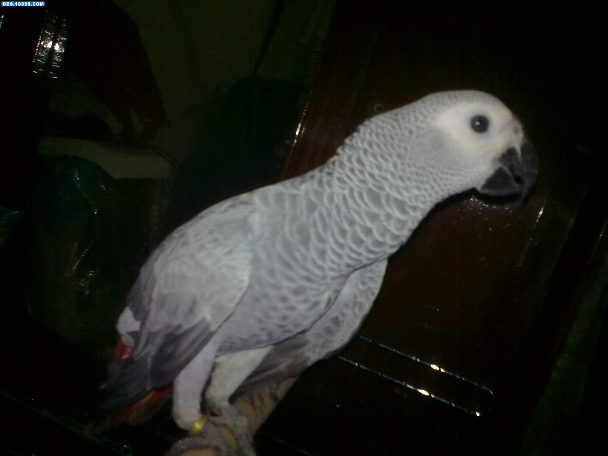 20110621227.jpg