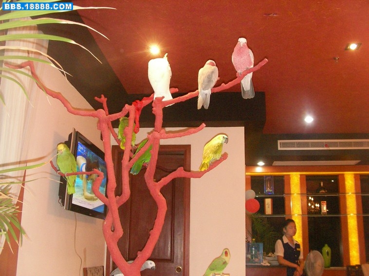 SANY0196.JPG