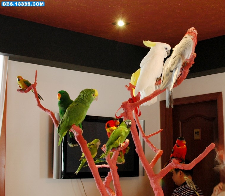 DSC_4364.jpg