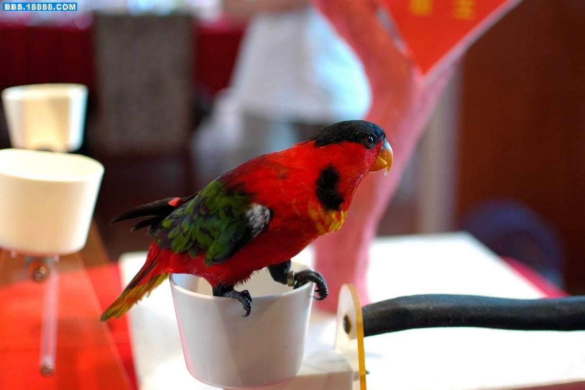 DSC_4369.jpg