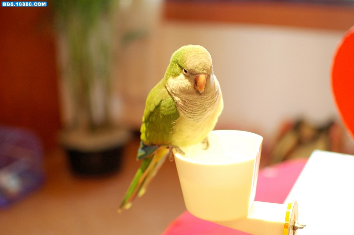 DSC_4378.jpg