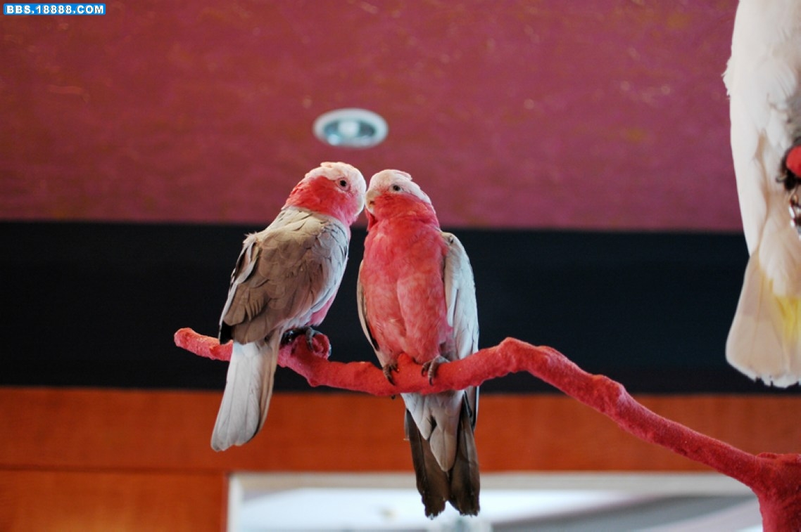 DSC_4366.jpg