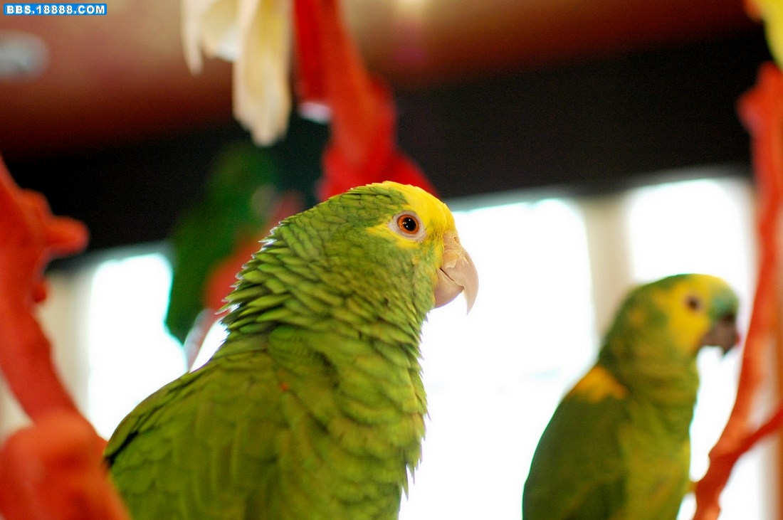 DSC_4387.jpg